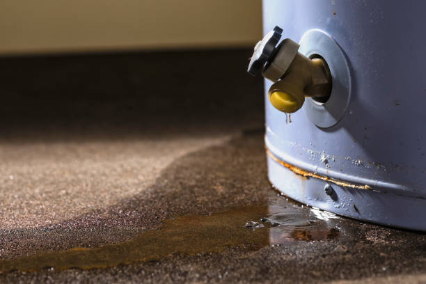  Collierville, CA Water damage restoration Pros