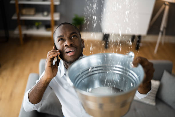 Best Professional water damage repair  in Collierville, CA