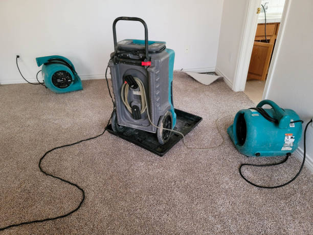 Best Basement water damage restoration  in Collierville, CA