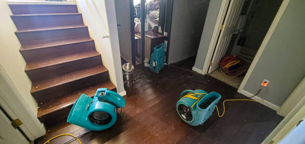 Best Commercial water damage restoration  in Collierville, CA