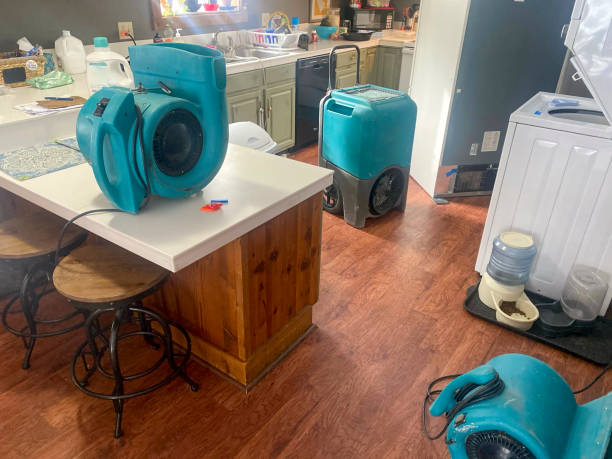 Best Fire Damage Restoration  in Collierville, CA