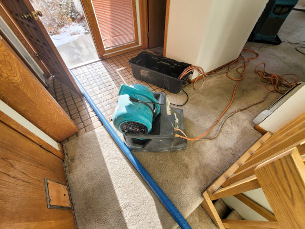 Best Ceiling water damage repair  in Collierville, CA