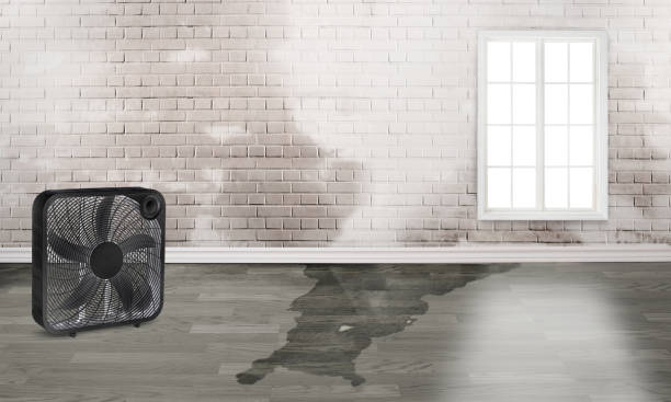 Best Water damage restoration near me  in Collierville, CA